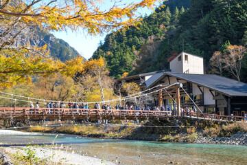 Obraz premium 上高地の河童橋の紅葉_1
