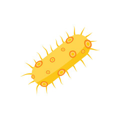Bacteria and Virus Illustration