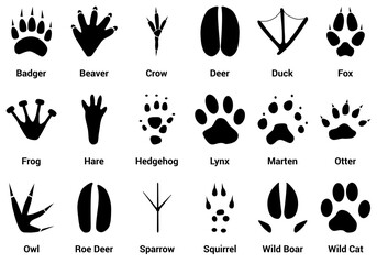 European Wild Animal Tracks with name