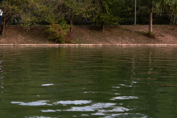organization of leisure and recreation in summer. a walking and entertainment area by the lake shore. a picturesque beach with trees and shrubs