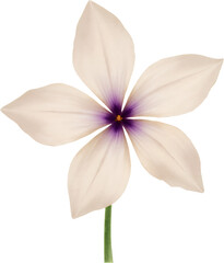 Obraz premium Five-petal flower, purple center, transparent background.