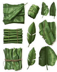 Transparent background, isolated png. Assorted Green Banana Leaves Bundle, Rolled and Folded, Isolated on Transparent Background