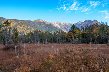 上高地田代湿原の紅葉