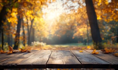 Beautiful sunlight in the autumn forest with wood table top, nature background, bokeh background. High quality photo