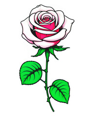 pink rose vector illustration
