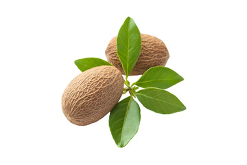 Fresh Nutmeg Seeds with Green Leaves Aromatic Spice