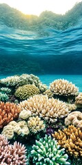 Vibrant underwater world filled with colorful coral reef and clear turquoise ocean water habitat