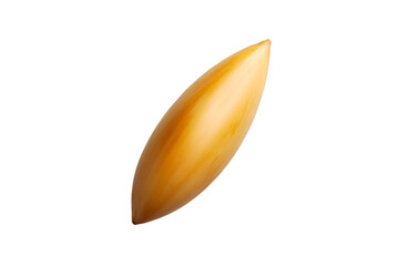 Golden grain close up view food agriculture harvest