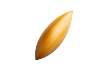 Golden grain close up view food agriculture harvest