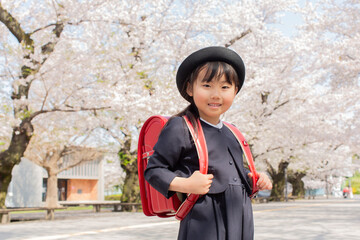 桜並木の小学1年生