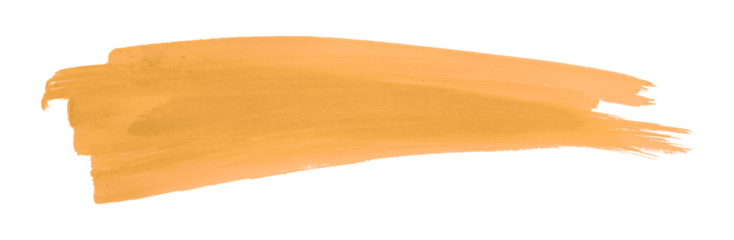 orange brush isolated on transparent background