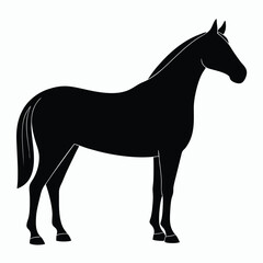 Festive Indian Horse Silhouette Traditional Wedding Icon