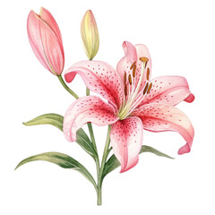 Naklejka premium flower clipart