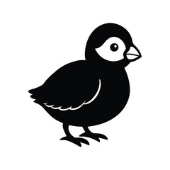a vector illustration of round fluffy puffin chick.eps