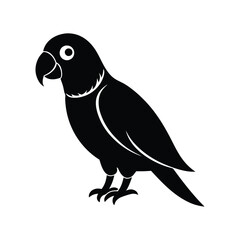a vector illustration of a parrot bird.eps