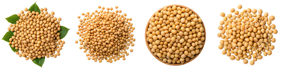 Close up view of different types of organic soybeans including whole beans crushed beans and soy groats on green leaves