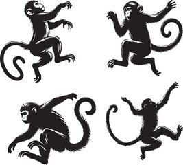 Obraz premium silhouette of clean vector of jumping monkey isolated