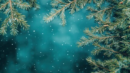 Christmas background with pine branches and snowfall