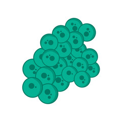 Viruses, germs and bacteria, microorganism types. Illness or disease microscopic cells and infection, microbes and antibodies. Dangerous pathogen, microbiology. Vector illustration