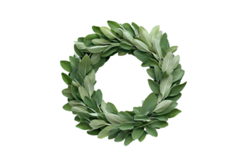 Sage leaf wreath zero number botanical alphabet nature