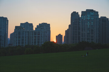 Obraz premium Couple at sunset in the park