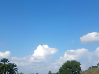 Obraz premium Bright Blue Sky with Fluffy White Clouds, Trees, Palm Trees, and Sunny Day Atmosphere.