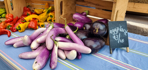 Produce at Farmers Market - Purple Eggplant