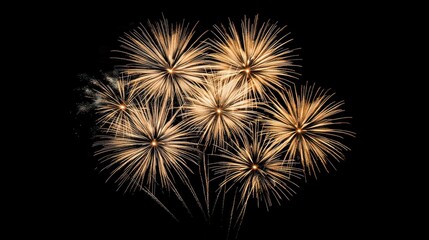 Fototapeta premium Spectacular golden firework display illuminating the night sky