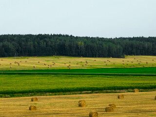 Straw bales on countryside stubble field against bright sky