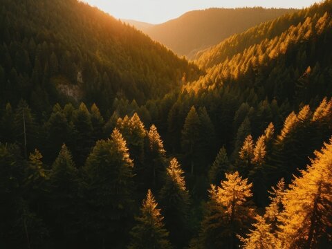 sunrise in the mountains