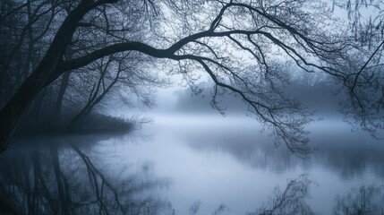 Fototapeta premium Ethereal waterscape with mist clinging to branches and reflections creating mirroring