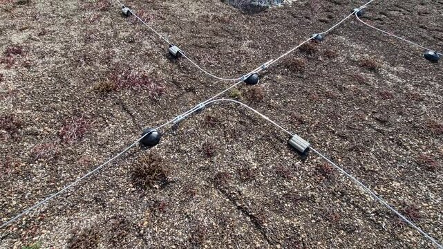 lightning conductor is used to protect buildings from lightning that can damage a house or its electrical equipment is routed to the highest points of a green garden roof, lawn, blossom, meadow, seed