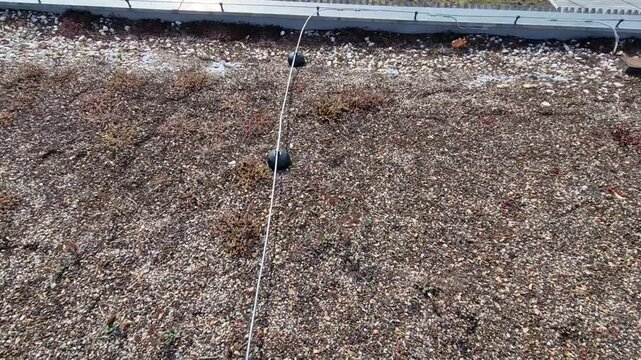 lightning conductor is used to protect buildings from lightning that can damage a house or its electrical equipment is routed to the highest points of a green garden roof, lawn, blossom, meadow, seed