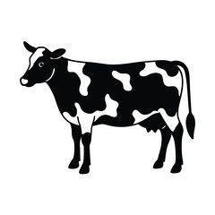 cow isolated on white background
