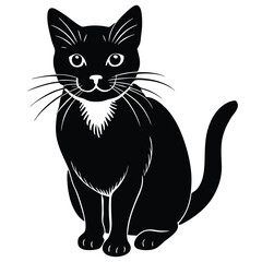 Obraz premium a cat vector