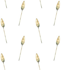Pampas grass. Dry blade of grass. Boho floral cream coloured seamless pattern. Watercolor hand painted illustration. Botanical herbal fabric, wallpaper, wrapping paper on isolated white background 