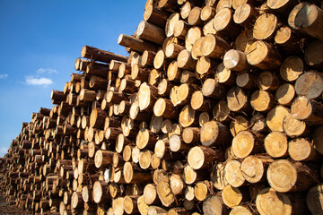 積み上げられた丸太