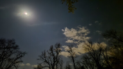 Fototapeta premium Lunar Eclipse - March 2025 