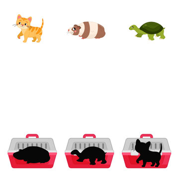 Educational  game for children. Find the right shadow. Kids activity with pets in a carrier.