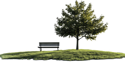 tree on a bench isolated on white background 