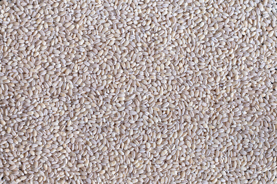 white full-framed pearl barley background 