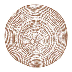 Fototapeta premium Tree wood texture. Wooden old trunk. Cut timber log. Abstract rings nature pattern. Brown circle stump. Wood cross section. 