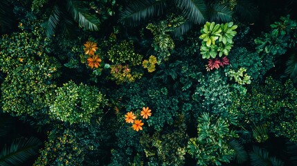 Vibrant tropical foliage showcases a rich palette of colors and textures in a lush forest canopy during daylight hours