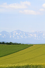 Fototapeta premium Scenic View of the Tokachi Mountain Range from Biei, Hokkaido, Japan