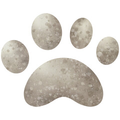 Paws