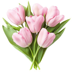 Fototapeta premium Blossom's Embrace: A tender bouquet of pink tulips, blossoms blooming to reveal their heart, conveying feelings of tenderness, freshness, and floral elegance.