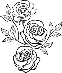 black and white rose