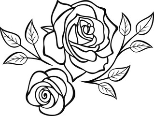 rose on white background