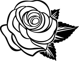 black and white rose