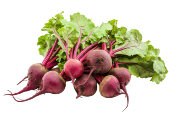 Freshly harvested beetroots with vibrant greens showcasing nature's bounty in detail isolated on transparent background